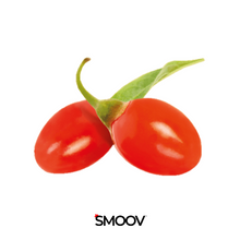Load image into Gallery viewer, Bulk Organic Freeze Dried Goji Berry Powder