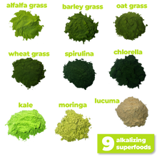 Load image into Gallery viewer, The 9 nutritious and alkalizing ingredients used to make Smoov's green blend- alfalfa grass, barley grass, oat grass, wheat grass, spirulina, chlorella, kale, moringa and lucuma. All to help you detox and get more nutrients.