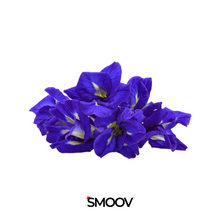Load image into Gallery viewer, Bulk Butterfly Pea Flower Powder