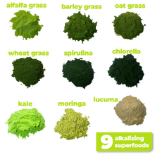Load image into Gallery viewer, The 9 nutritious and alkalizing ingredients used to make Smoov&#39;s green blend- alfalfa grass, barley grass, oat grass, wheat grass, spirulina, chlorella, kale, moringa and lucuma. All to help you detox and get more nutrients.