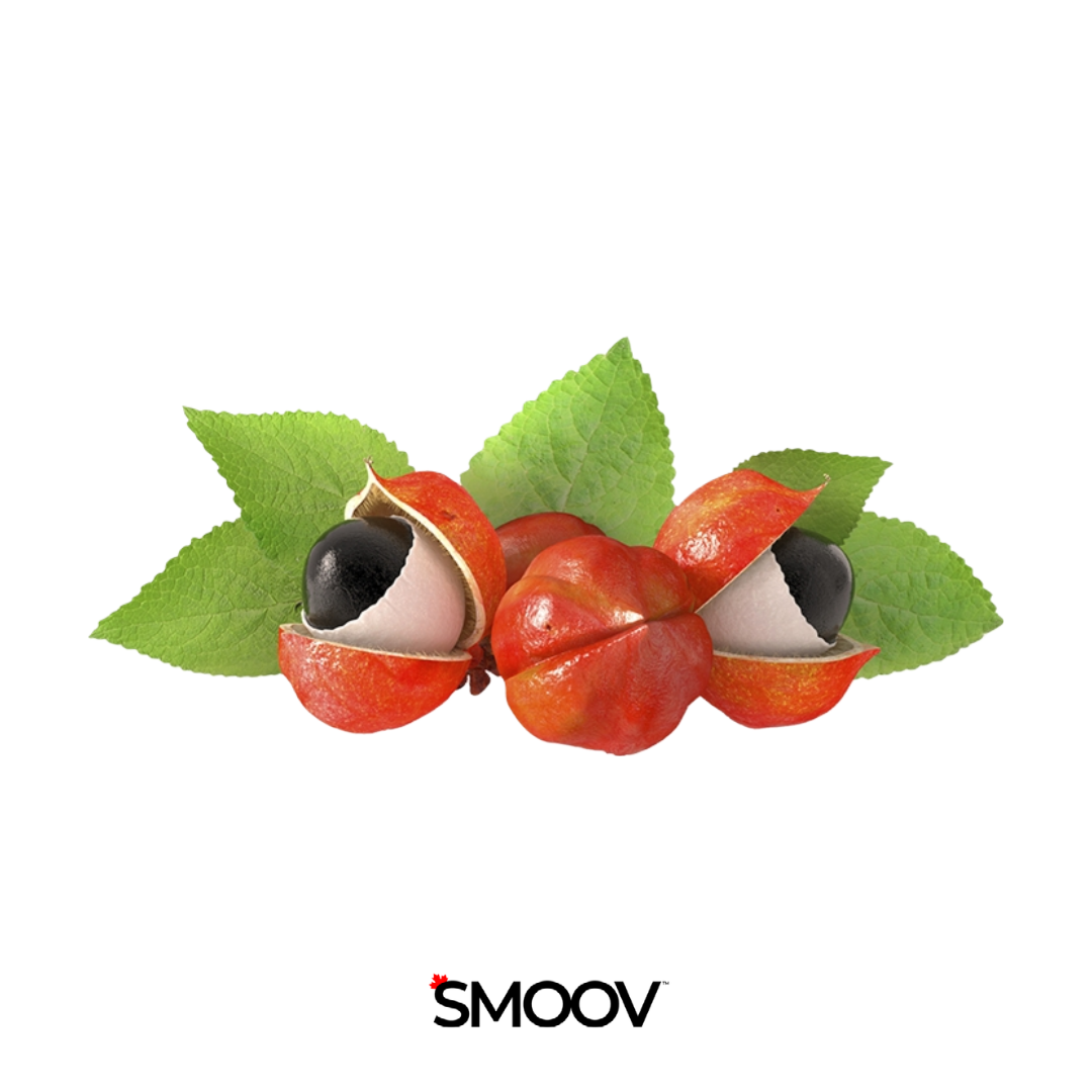 SMOOV Guarana seeds are a great source of natural caffeine that help reduce fatigue and boost energy levels for an extended period of time without any crashes or jitters! They also improve mood, focus and memory.