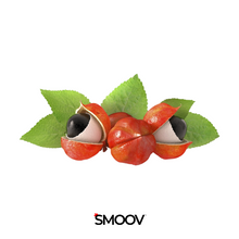 Load image into Gallery viewer, SMOOV Guarana seeds are a great source of natural caffeine that help reduce fatigue and boost energy levels for an extended period of time without any crashes or jitters! They also improve mood, focus and memory.