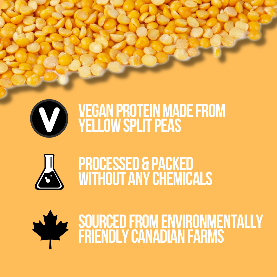 Pea Protein Powder Smoov. One Ingredient: Yellow Split Peas, nothing else. No Sweeteners, No Flavours, No Additives. Micro-ground for a Smooth & creamy texture - mixes great! Nutrient-dense: 85% Protein + Rich Amino Acid Profile.Muscle Recovery, boost metabolism, promote fat burning and overall health. Perfect for shakes, smoothies, baking.